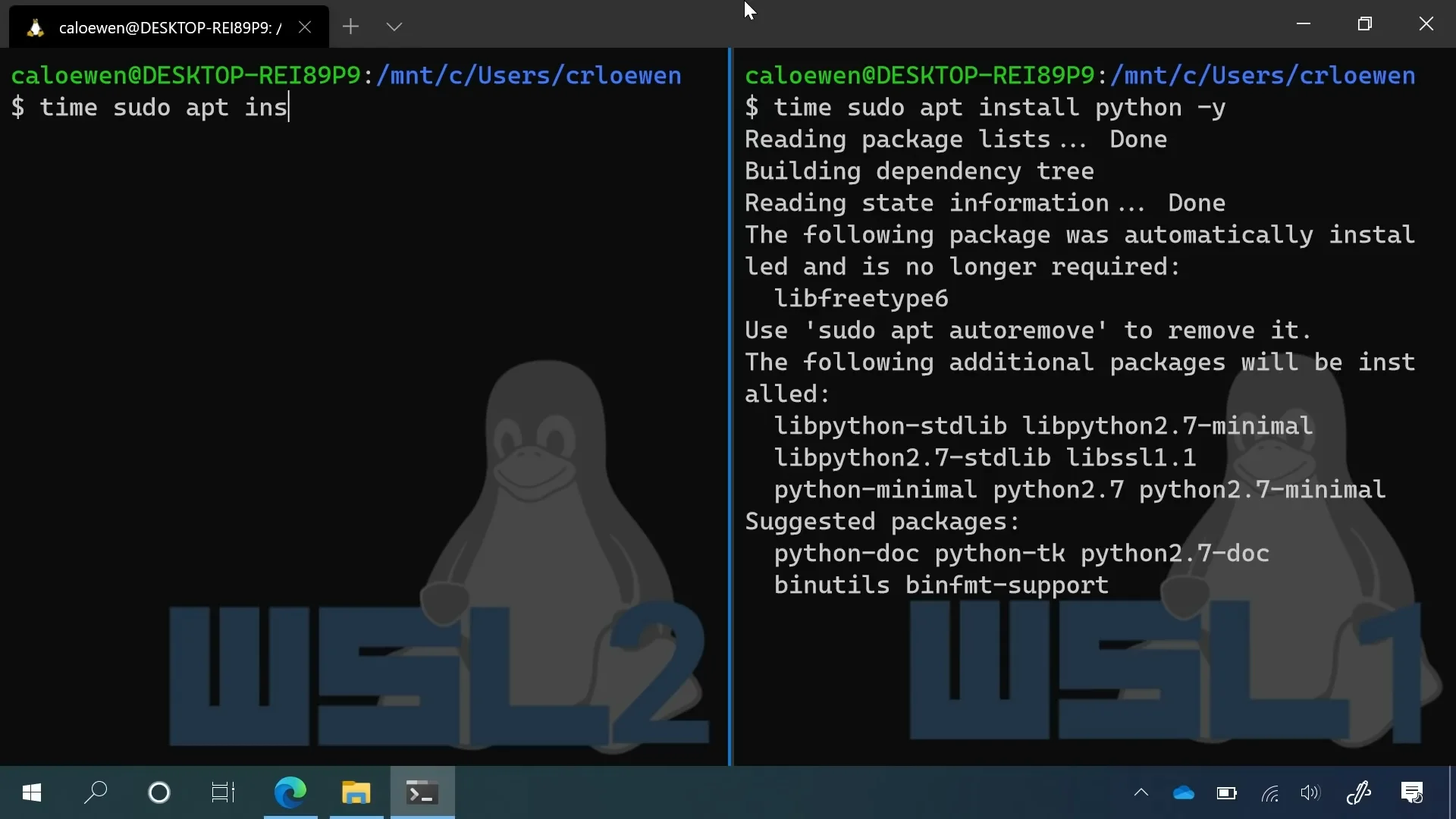 Windows “rouba” usuários do Linux e Ubuntu ganha popularidade
