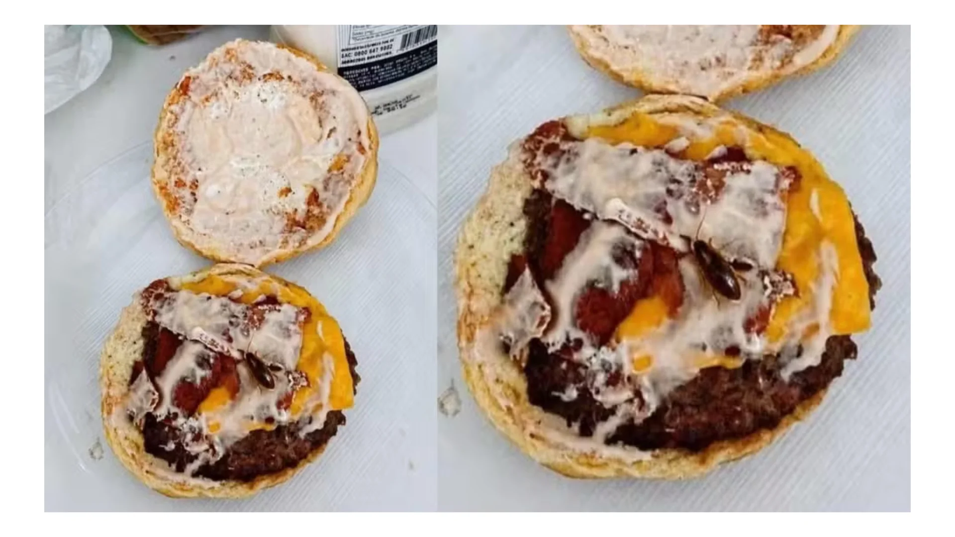 Golpe do reembolso: cliente usa IA para criar barata em lanche e é descoberto