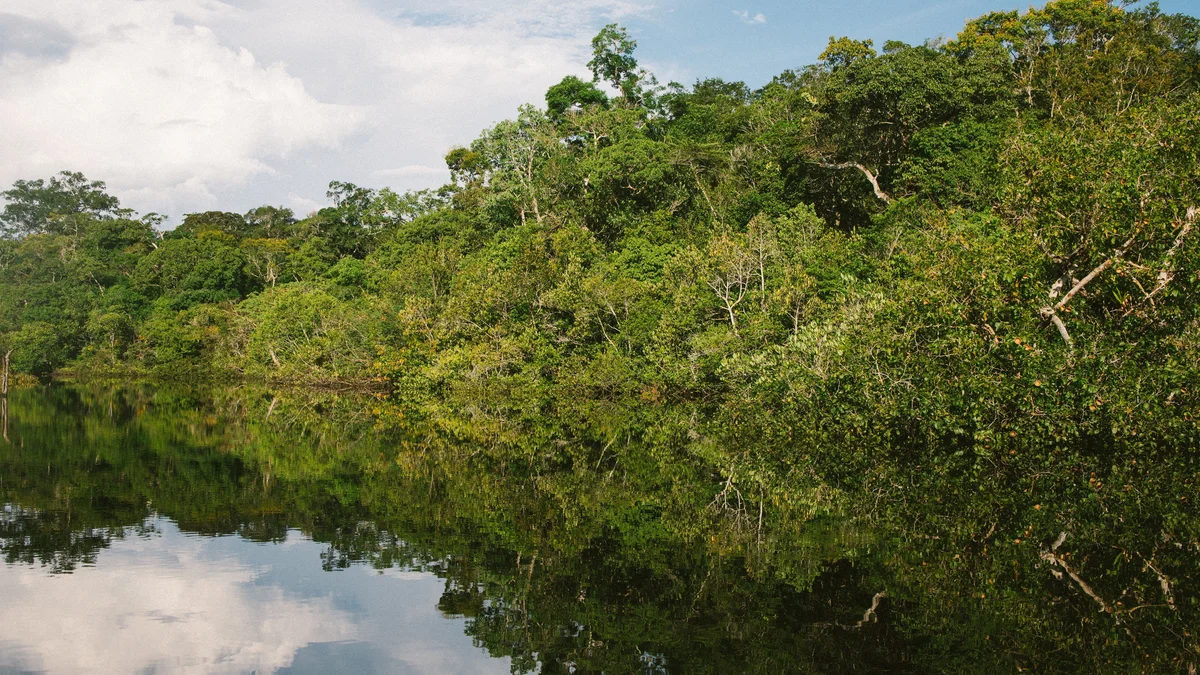 Amazônia terá fibra óptica dentro dos rios para depender menos da Starlink