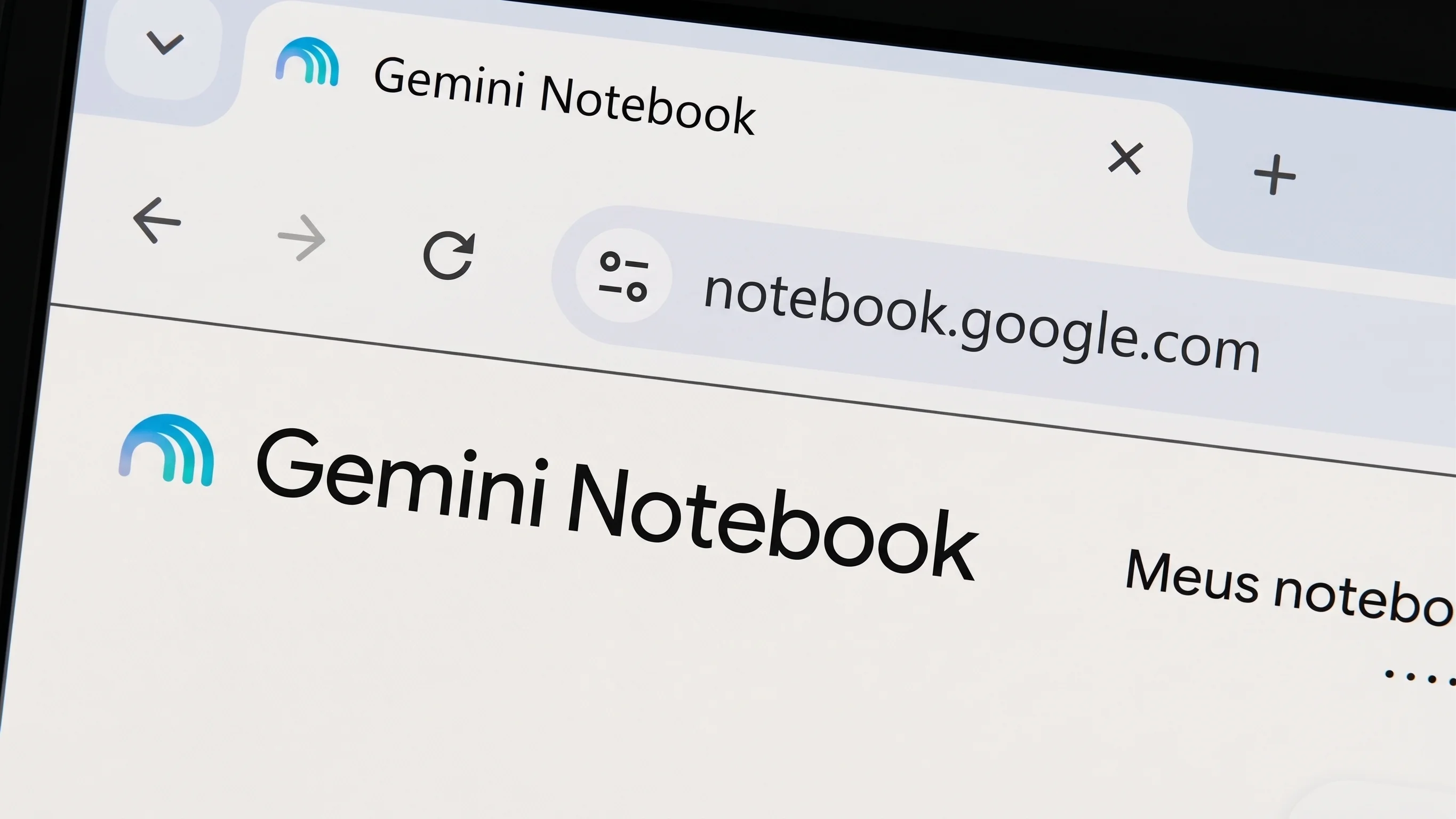 Gemini Notebook