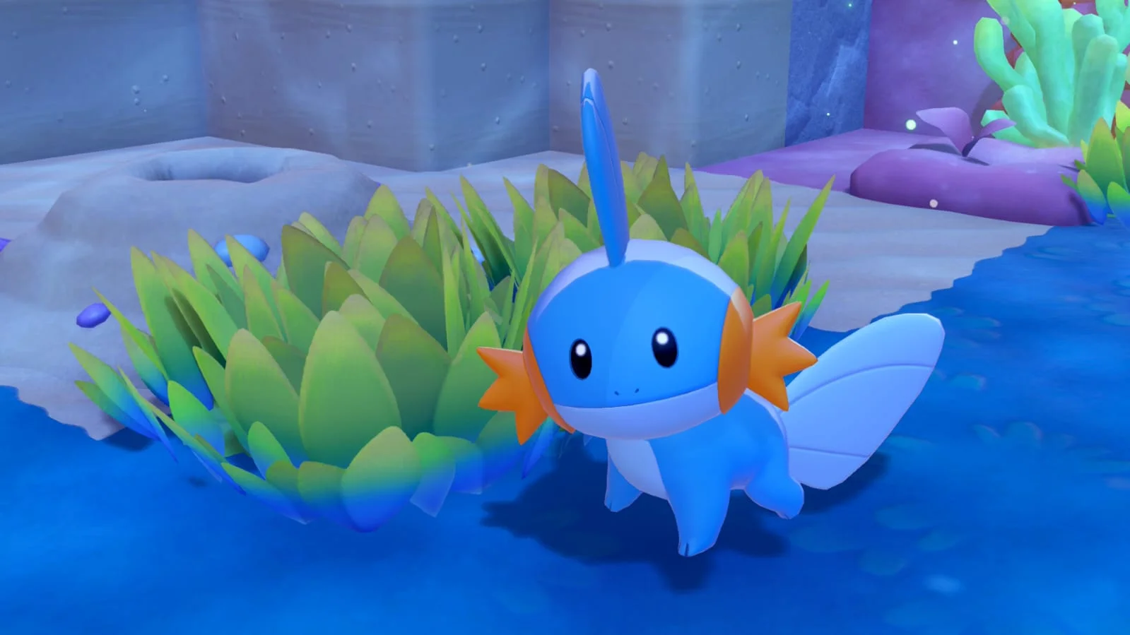 Pokemon-Pokopia-Bubble-Basin-Review-Img2