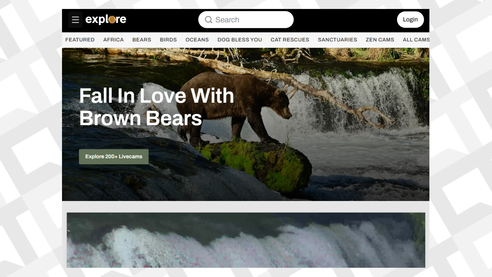 Explore org