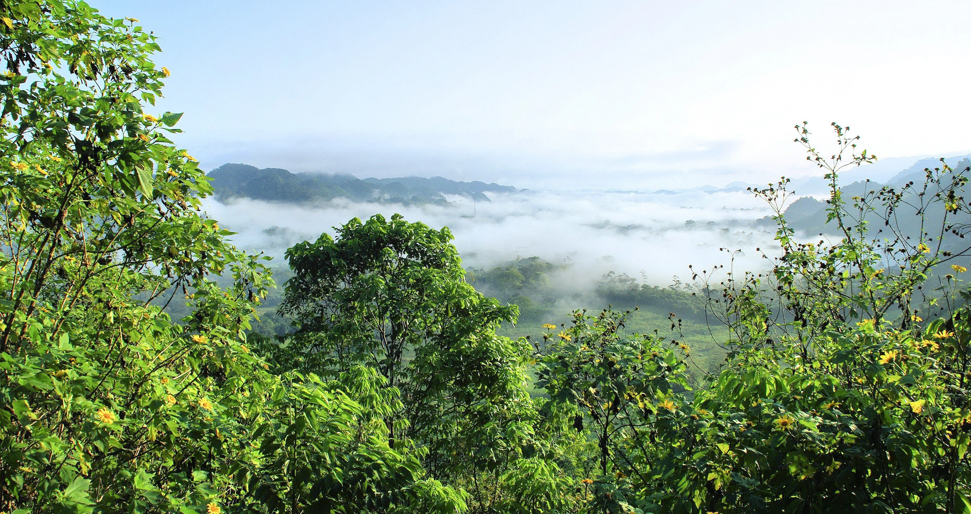 Amazônia terá fibra óptica dentro dos rios para depender menos da Starlink
