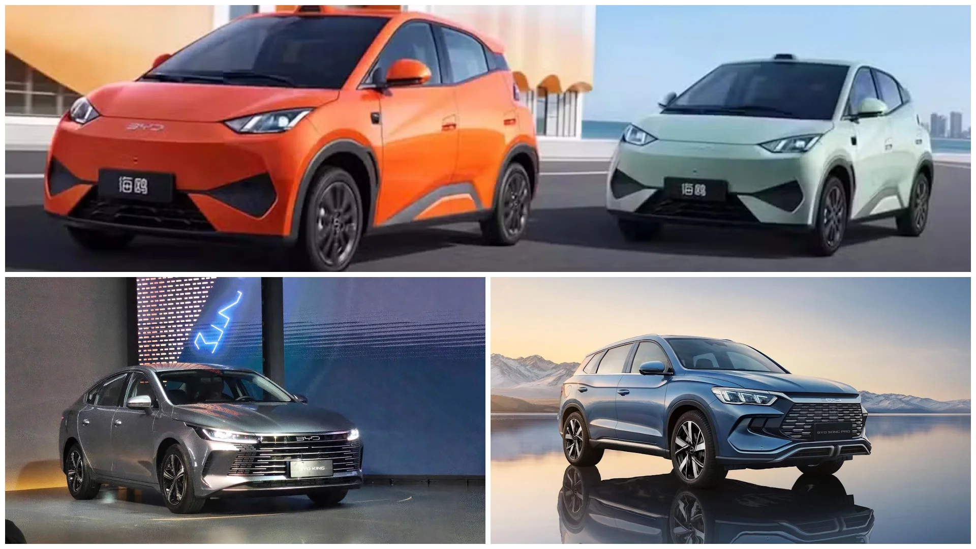 BYD carros em oferta