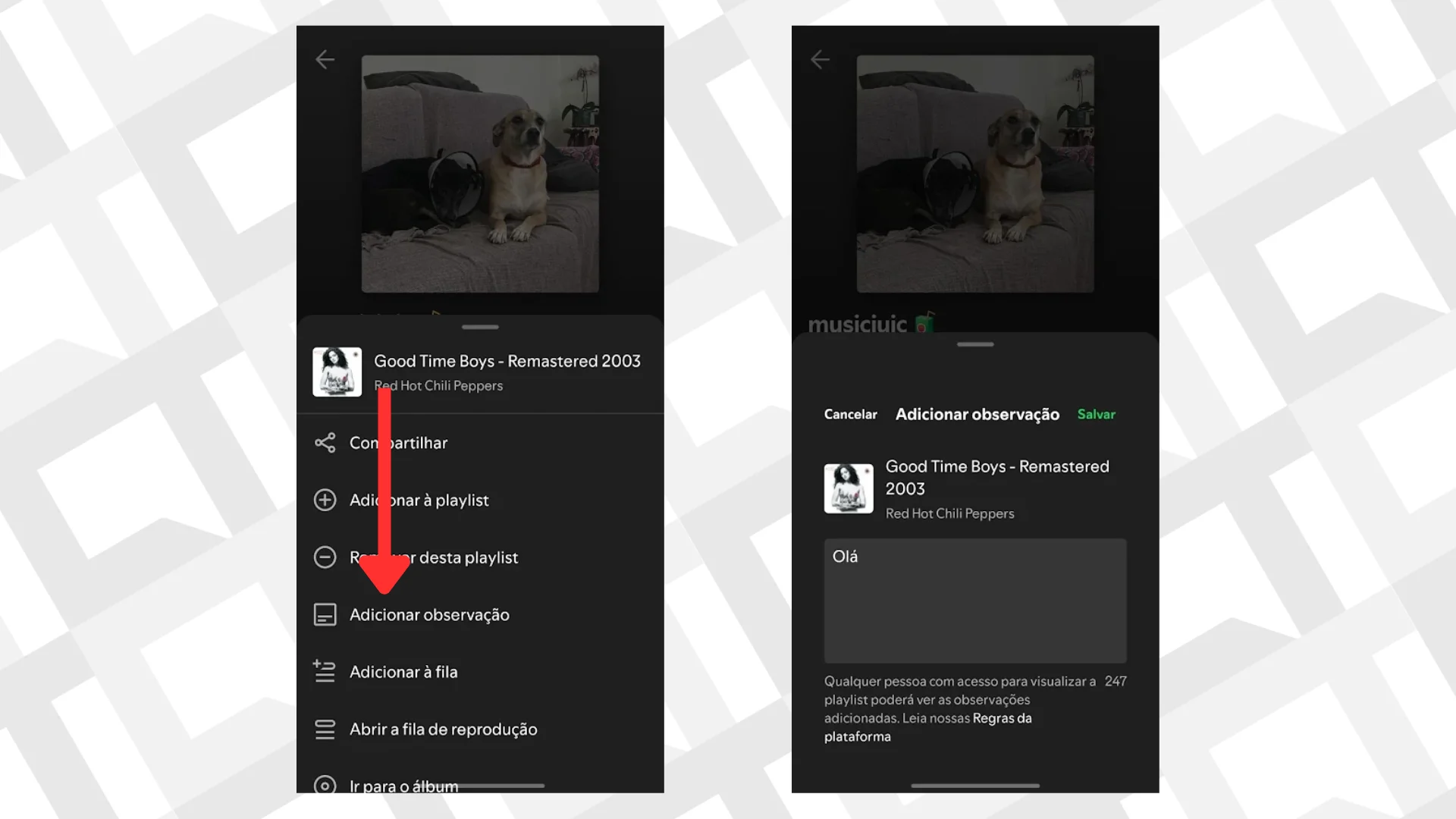 Como colocar notas em músicas e podcasts no Spotify: veja o passo a passo